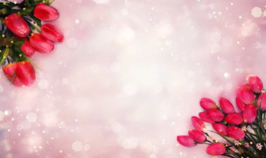 bahar arkaplanı çiçek açan laleler ve soyut bokeh