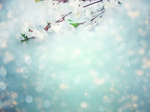 Primavera fundo floração branco cereja flores árvore e abstra — Fotografia de Stock