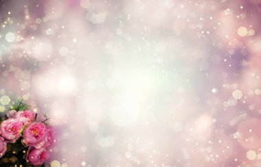 bahar arkaplanı çiçek açan şakayıklar ve soyut bokeh