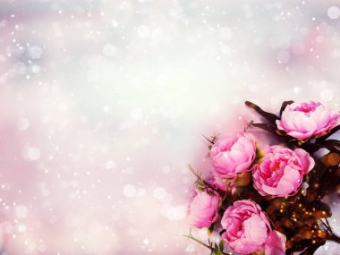 çiçekli şakayık ve yaprakların bahar arkaplanı 