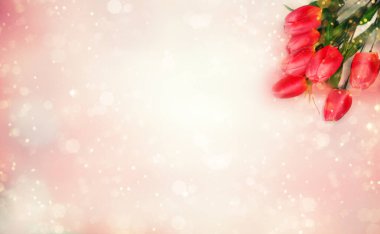 bahar arkaplanı çiçek açan laleler ve soyut bokeh