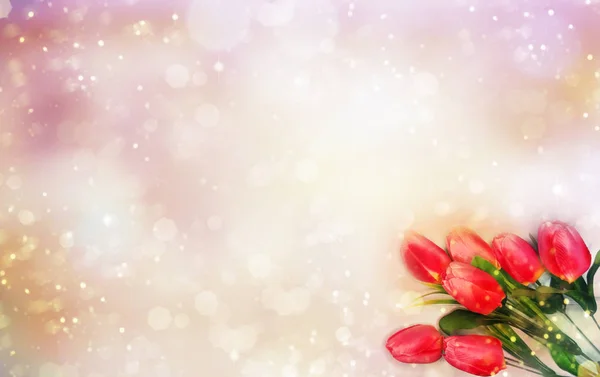 春の背景開花チューリップと抽象的なボケ — ストック写真