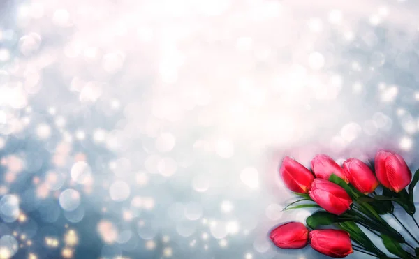 Весенний фон цветущих тюльпанов и листьев — стоковое фото