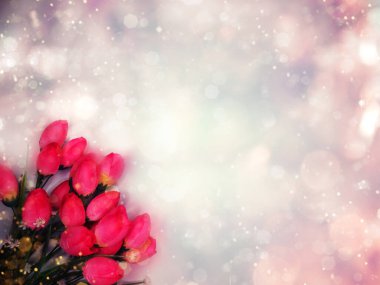 bahar arkaplanı çiçek açan laleler ve soyut bokeh