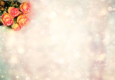 bahar çiçeği açan güller ve soyut bokeh