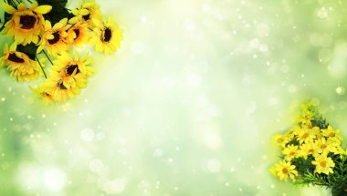 Bahar mevsimi arka planında çiçek açan ayçiçekleri papatya soyut dışkısı