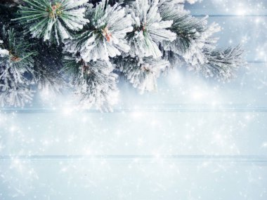 Kış Noel arkaplanı köknar dalları koniler ve mavi ahşap dokuda kar                              