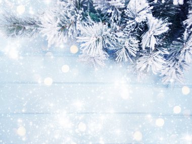 Kış Noel arkaplanı köknar dalları koniler ve mavi ahşap dokuda kar                              