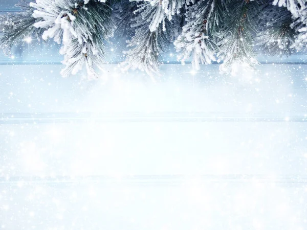 Kış Noel Arkaplanı Köknar Dalları Koniler Mavi Ahşap Dokuda Kar — Stok fotoğraf