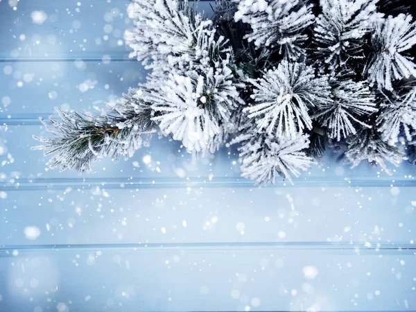 Kış Noel arkaplanı köknar dalları koniler ve mavi ahşap dokuda kar                              