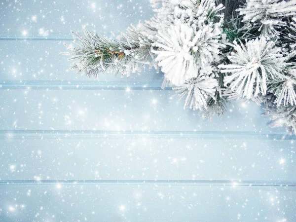青い木のテクスチャにモミの枝コーンと雪と冬のクリスマスの背景 — ストック写真