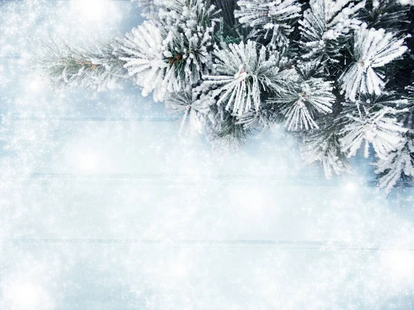 Зимний Рождественский Фон Еловыми Ветками Снегом Синей Деревянной Текстуре — стоковое фото