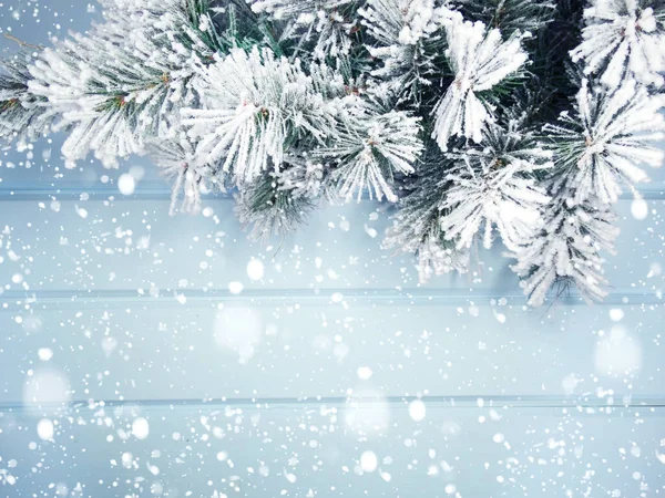 Vinter Jul Bakgrund Med Gran Grenar Koner Och Snö Blå — Stockfoto