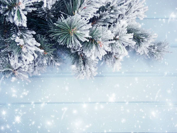 Invierno Navidad Fondo Con Ramas Abeto Conos Nieve Textura Madera —  Fotos de Stock
