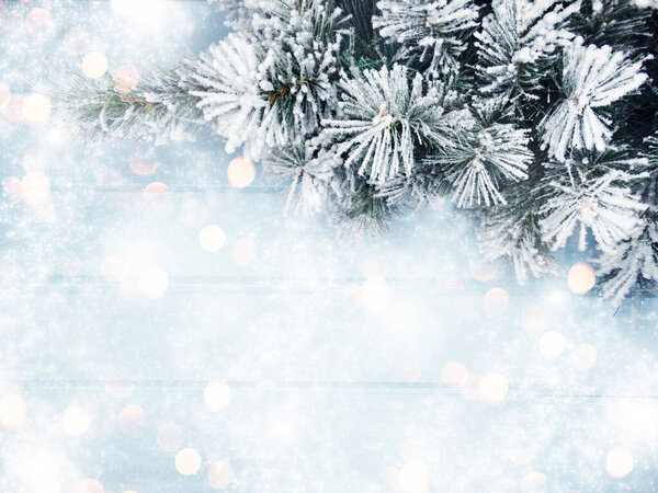 winter christmas background with fir branches cones and snow on blue wooden texture                              