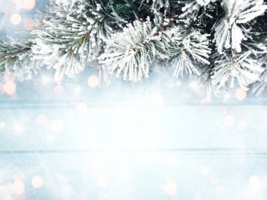 Kış Noel arkaplanı köknar dalları koniler ve mavi ahşap dokuda kar                              