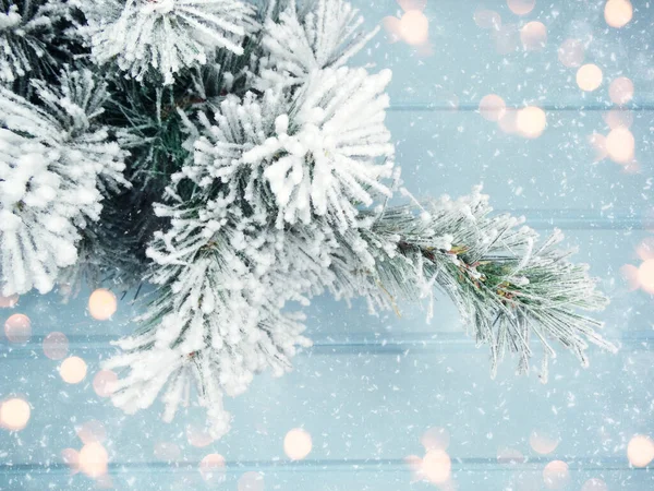 Vinter Jul Bakgrund Med Gran Grenar Koner Och Snö Blå — Stockfoto