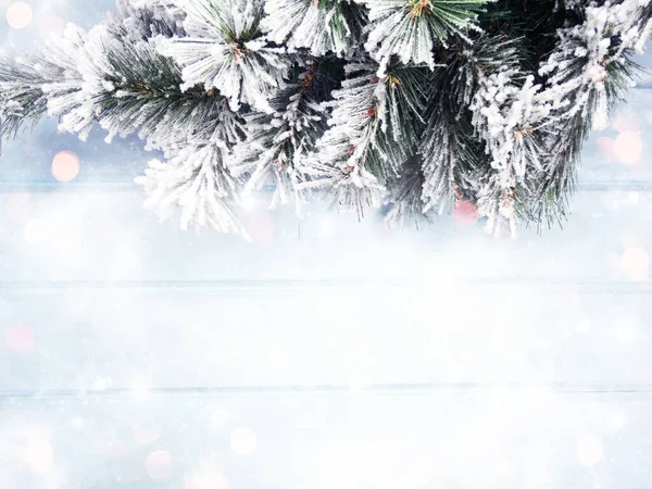 Winter Kerst Achtergrond Met Sparren Takken Kegels Sneeuw Blauwe Houten — Stockfoto