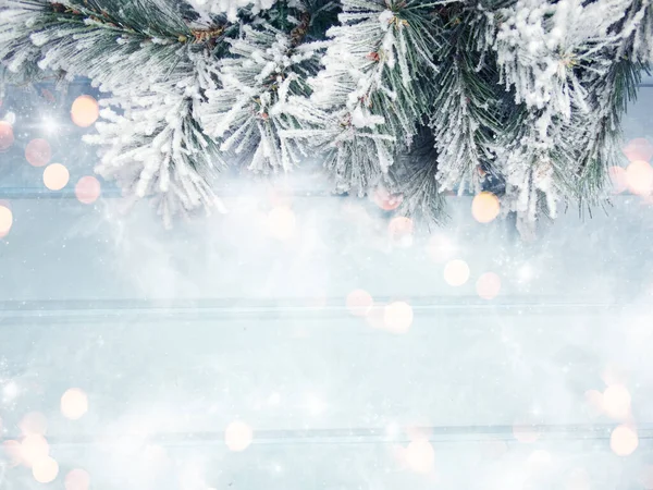 크리스마스의 뒷배경에는 전나무 가지가 원추형이고 — 스톡 사진