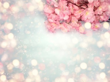Baharın arka planında çiçek açan sakura kiraz çiçekleri çiçek açan çiçek doğası ve soyut bokeh                    