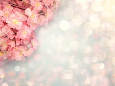 Baharın arka planında çiçek açan sakura kiraz çiçekleri çiçek açan çiçek doğası ve soyut bokeh                    