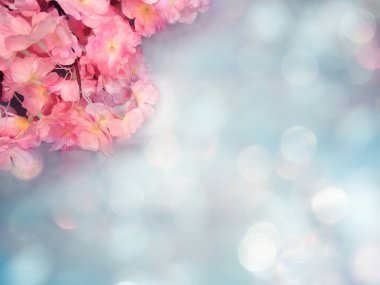 Baharın arka planında çiçek açan sakura kiraz çiçekleri çiçek açan çiçek doğası ve soyut bokeh                    