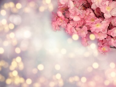 Baharın arka planında çiçek açan sakura kiraz çiçekleri çiçek açan çiçek doğası ve soyut bokeh                    