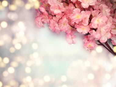 Baharın arka planında çiçek açan sakura kiraz çiçekleri çiçek açan çiçek doğası ve soyut bokeh                    