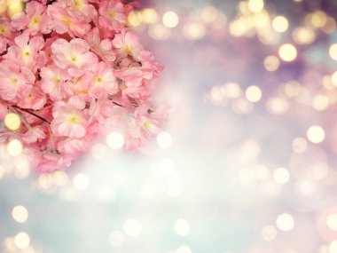 Baharın arka planında çiçek açan sakura kiraz çiçekleri çiçek açan çiçek doğası ve soyut bokeh                    