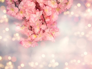 Baharın arka planında çiçek açan sakura kiraz çiçekleri çiçek açan çiçek doğası ve soyut bokeh                    