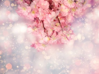 Baharın arka planında çiçek açan sakura kiraz çiçekleri çiçek açan çiçek doğası ve soyut bokeh                    