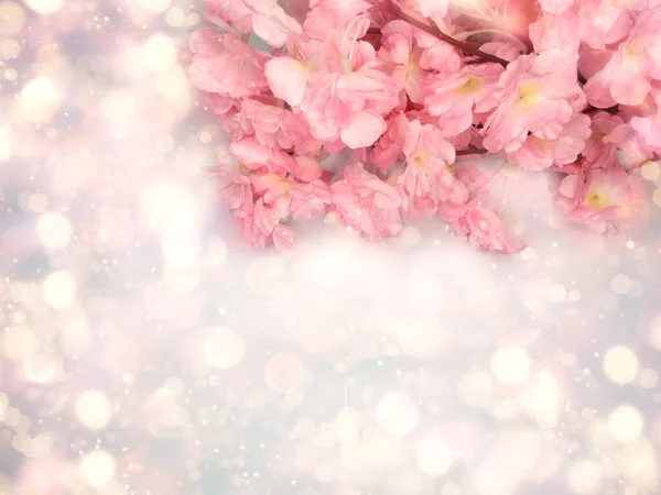 Primavera Backgroung Flor Sakura Cerezo Flores Florecen Naturaleza Floral Bokeh —  Fotos de Stock