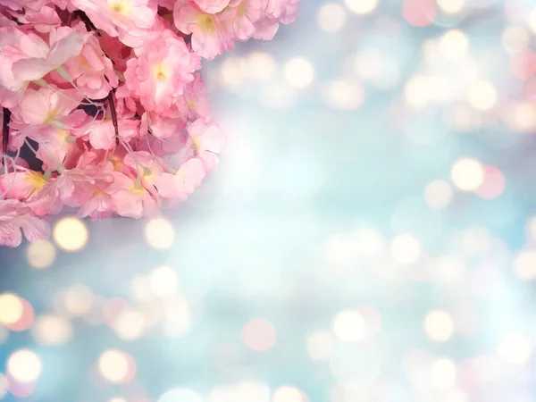 Baharın Arka Planında Çiçek Açan Sakura Kiraz Çiçekleri Çiçek Açan — Stok fotoğraf