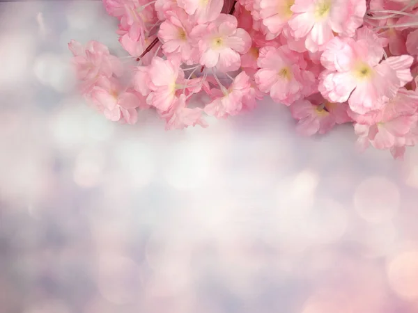 春の背景開花桜の花々花の自然と抽象的なボケ — ストック写真