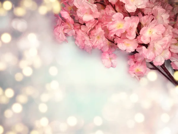Весенний Фон Цветущий Сакура Вишня Цветы Цветут Цветочный Характер Абстрактные — стоковое фото