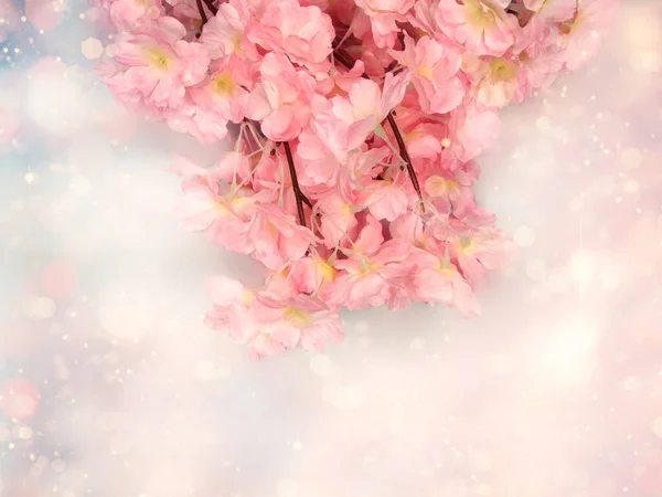 Primavera Backgroung Fioritura Sakura Fiori Ciliegio Fiore Natura Floreale Bokeh — Foto Stock