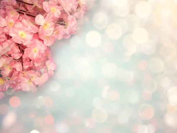 Jaro Backgroung Kvetoucí Sakura Třešeň Květy Květinové Povahy Abstraktní Bokeh Stock Obrázky