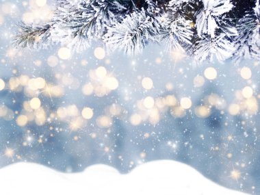 Yılbaşı arka planında kar köknar dalları orman zemininde koni