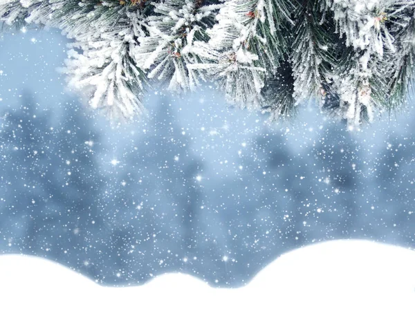 Winter Weihnachten Hintergrund Mit Schnee Tannenzweige Kegel Auf Waldhintergrund — Stockfoto