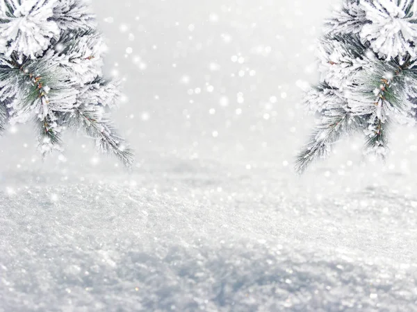 Invierno Navidad Fondo Con Ramas Abeto Nieve Conos Fondo Del — Foto de Stock