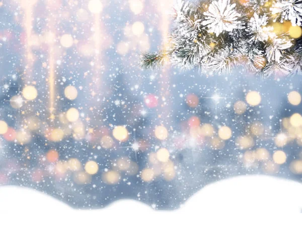 Zima Boże Narodzenie Tło Gałązek Śniegu Tle Lasu — Zdjęcie stockowe