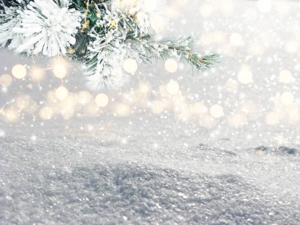 Zima Boże Narodzenie Tło Gałązek Śniegu Tle Lasu — Zdjęcie stockowe