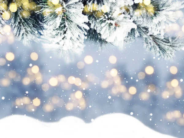 Invierno Navidad Fondo Con Ramas Abeto Nieve Conos Fondo Del Fotos De Stock Sin Royalties Gratis