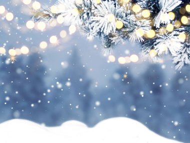 Yılbaşı arka planında kar köknar dalları orman zemininde koni