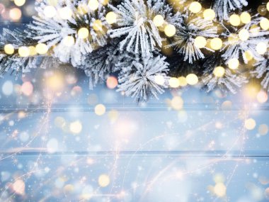 Kış Noel arkaplanı köknar dalları koniler ve mavi ahşap dokuda kar                              