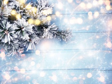 Kış Noel arkaplanı köknar dalları koniler ve mavi ahşap dokuda kar                              