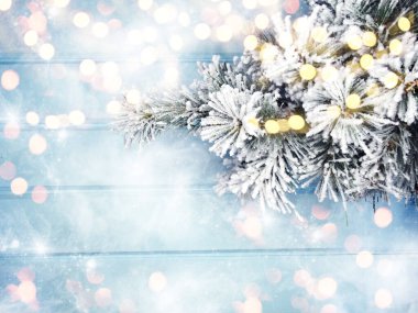 Kış Noel arkaplanı köknar dalları koniler ve mavi ahşap dokuda kar                              