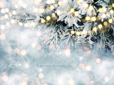 Kış Noel arkaplanı köknar dalları koniler ve mavi ahşap dokuda kar                              