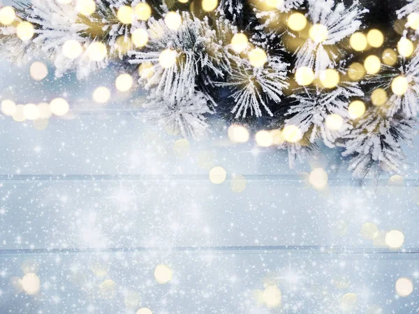 Kış Noel arkaplanı köknar dalları koniler ve mavi ahşap dokuda kar                              