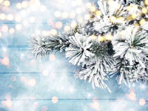 Vinter Jul Bakgrund Med Gran Grenar Koner Och Snö Blå — Stockfoto